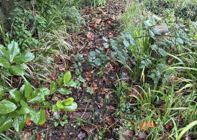 accurate property maintenance facebook gallery 32