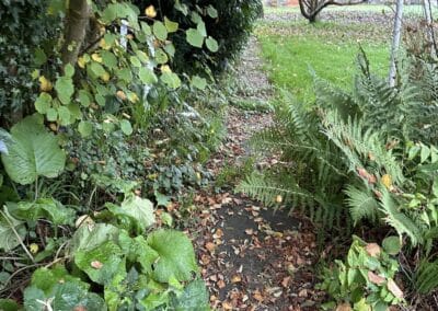 accurate property maintenance facebook gallery 38