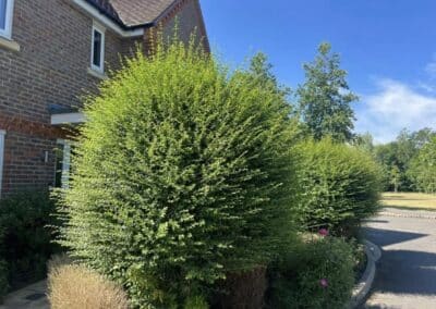 accurate property maintenance facebook gallery 41